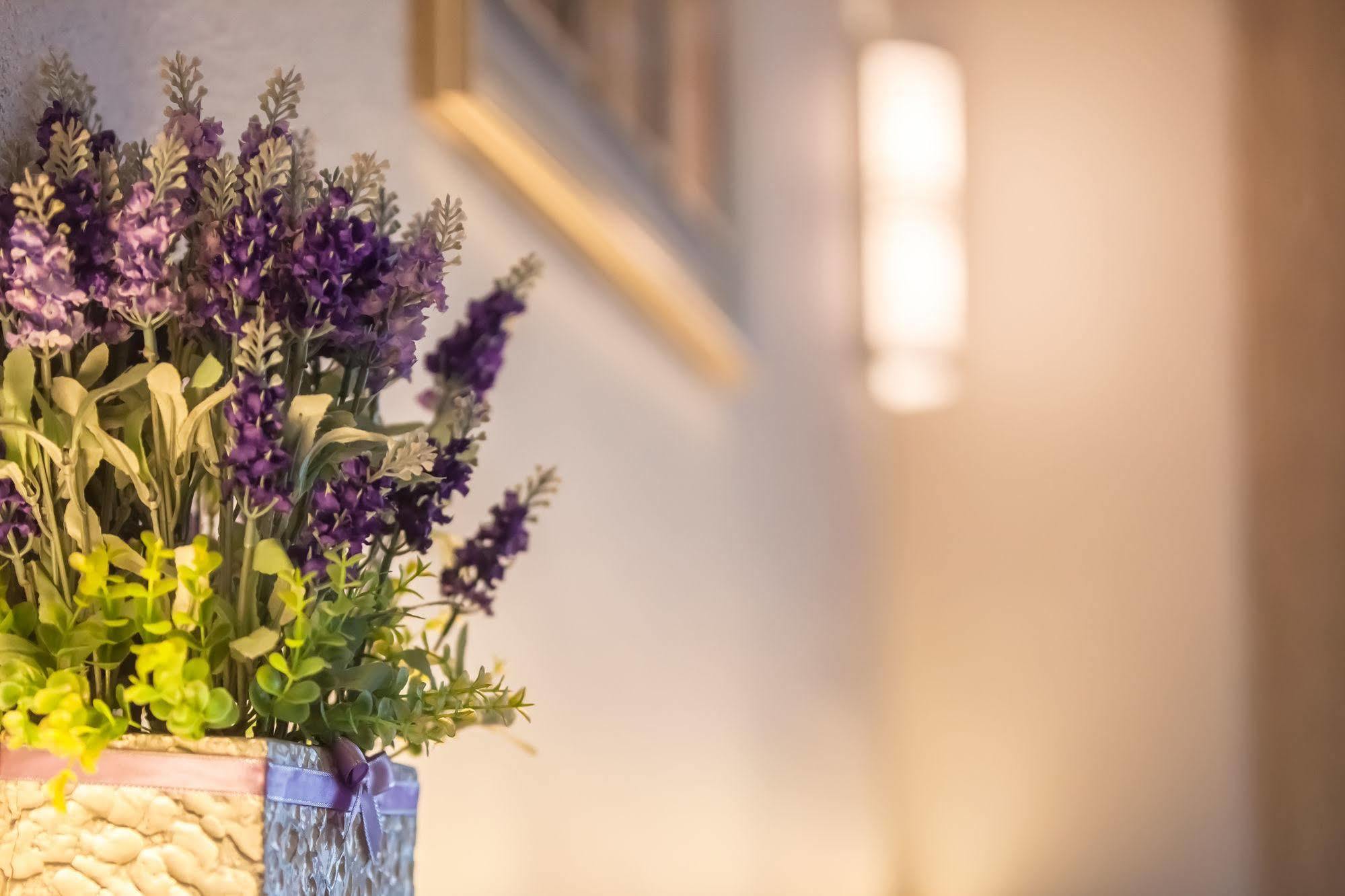 Lavender Inn Nusa Bestari Johor Bahru Buitenkant foto